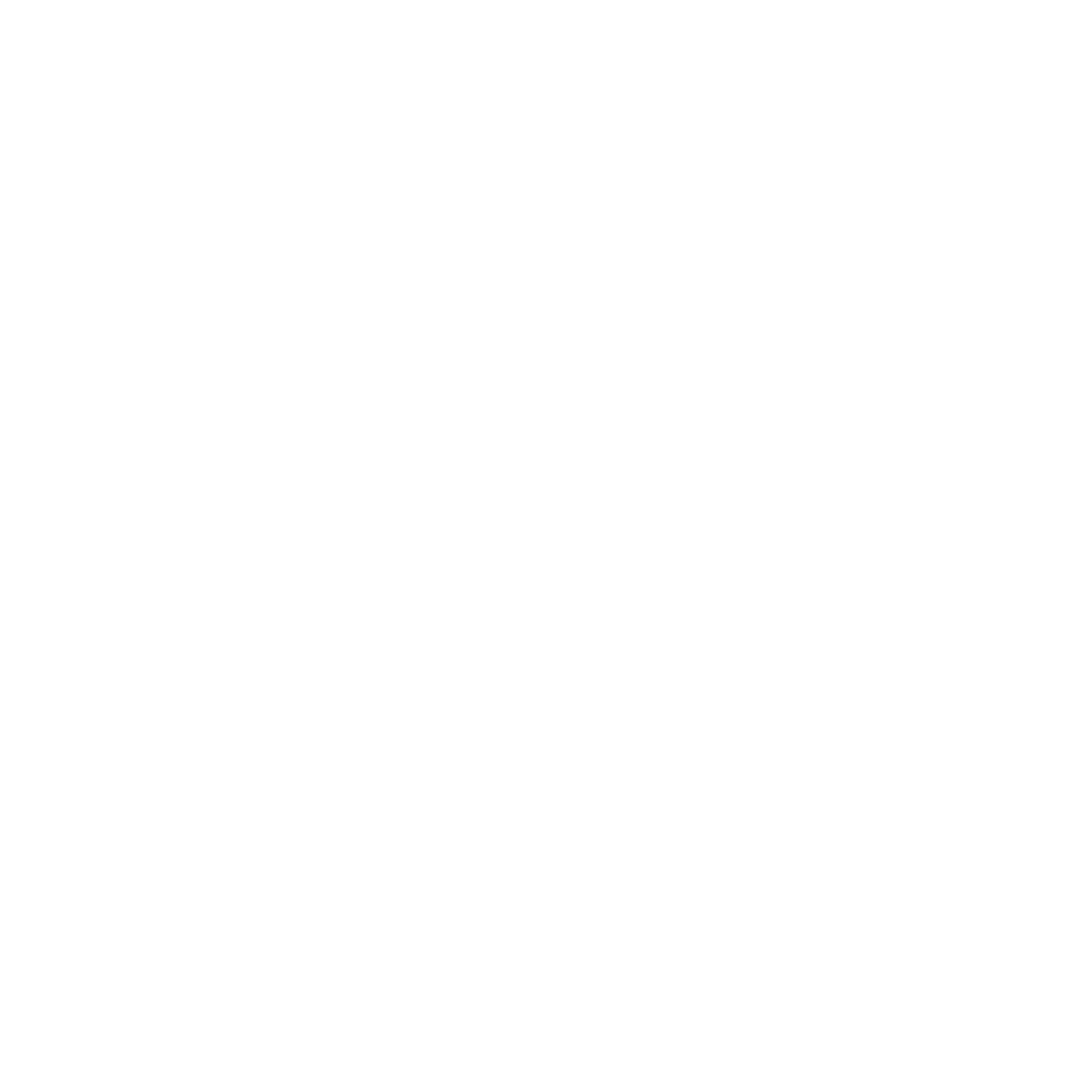 VONENZO BASCHELLO WORLD Logo Light